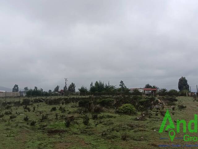 #8 - Quinta para Venta en Los Vilos - IV - 2