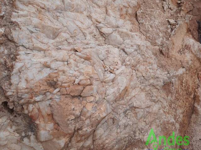 #10 - Oficina para Venta en Caldera - III - 3