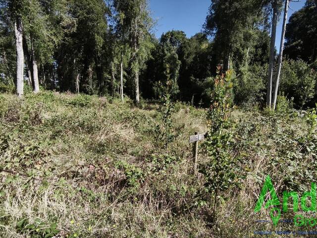 #15 - Terreno en condominio para Venta en Puerto Varas - X - 3