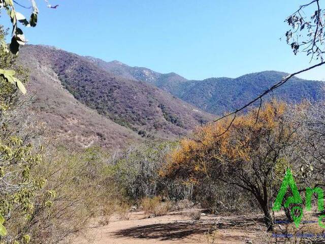 #20 - Terreno para Venta en Hijuelas - V - 3