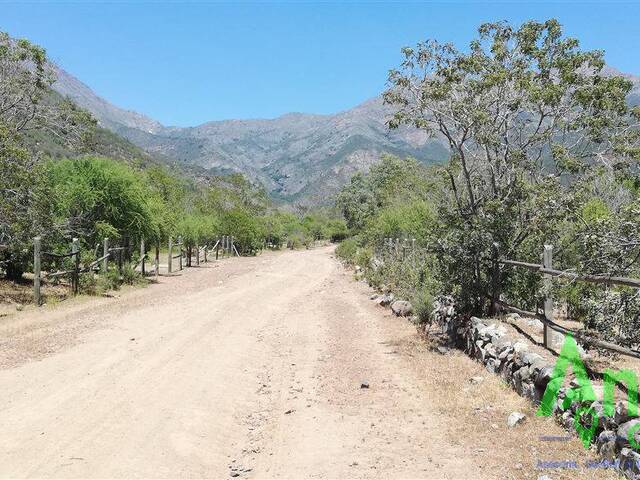Terreno para Venta en Hijuelas - 4